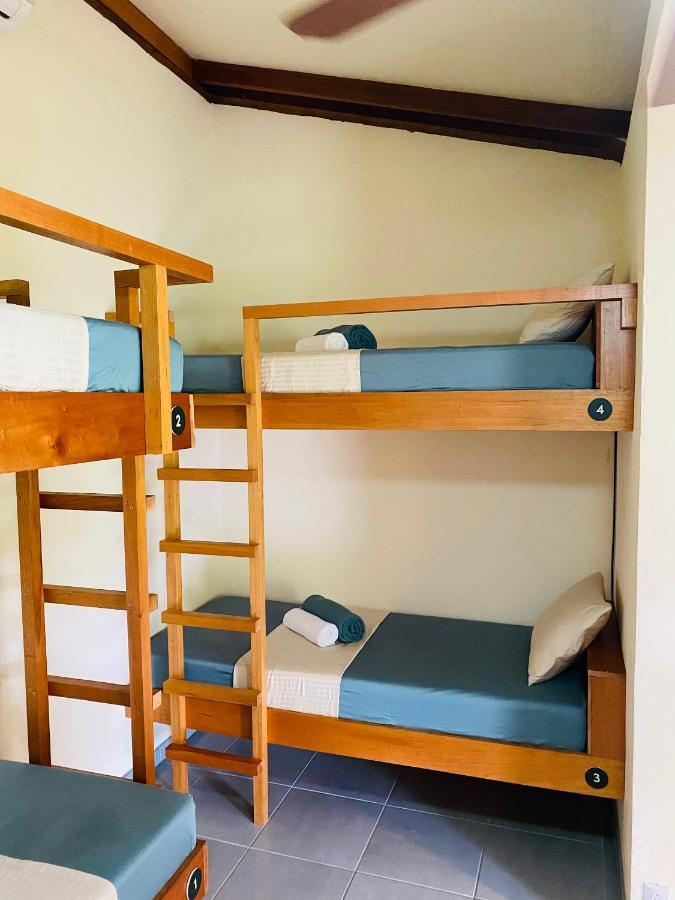 El Hostel Del Patio Тортугеро Екстериор снимка